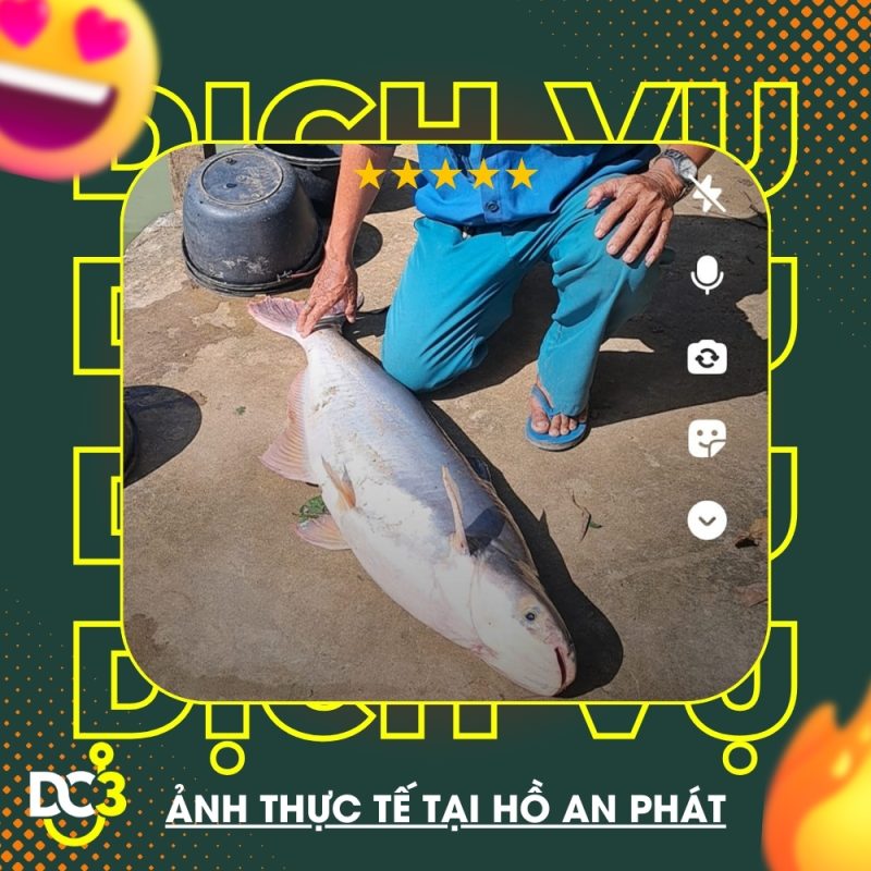Dịch vụ tiện ích hồ câu An Phát