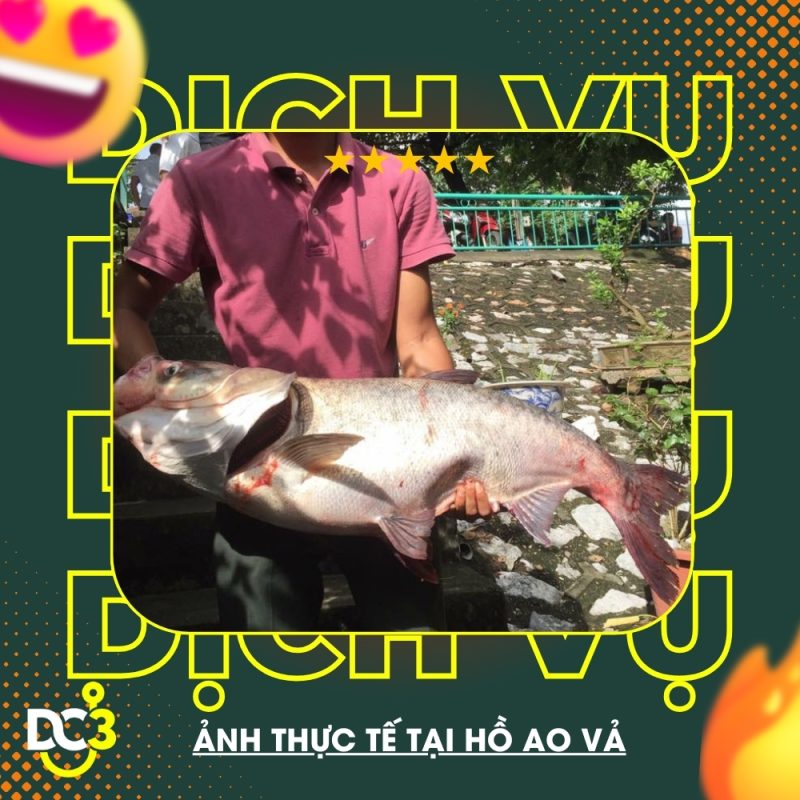 Dịch vụ tiện ích hồ câu Ao Vả