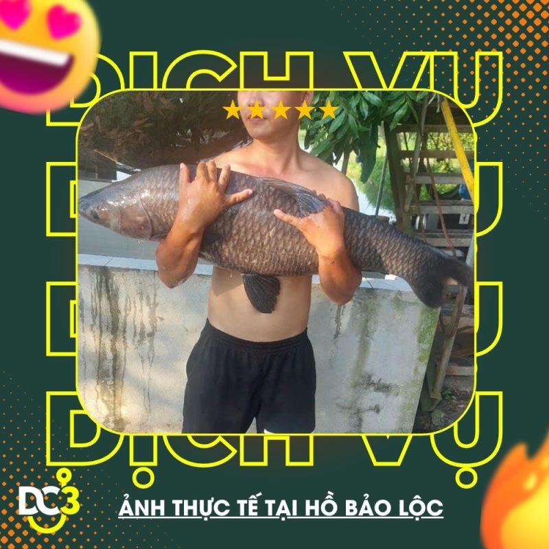 Dịch vụ tiện ích hồ câu Bảo Lộc