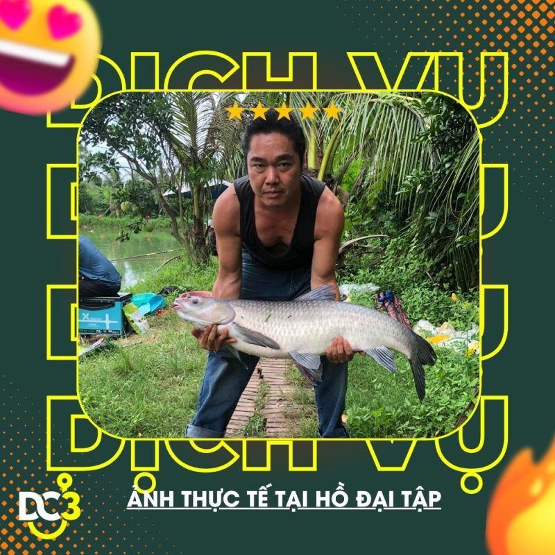 Dịch vụ tiện ích hồ câu Đại Tập