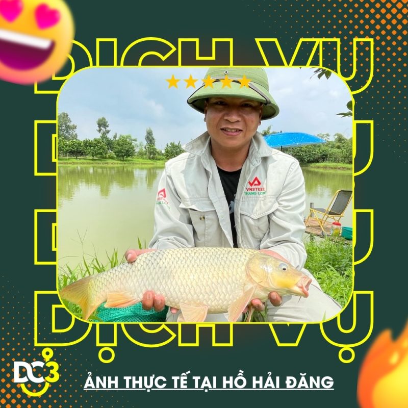 Dịch vụ tiện ích hồ câu Hải Đăng