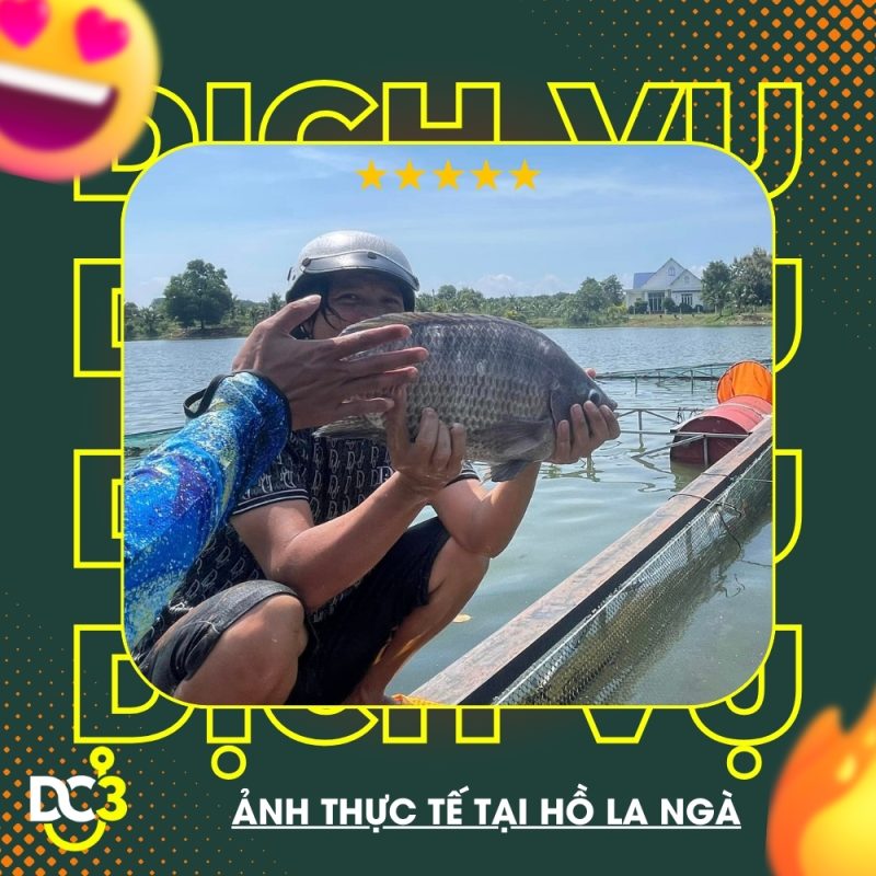 Dịch vụ tiện ích hồ câu La Ngà