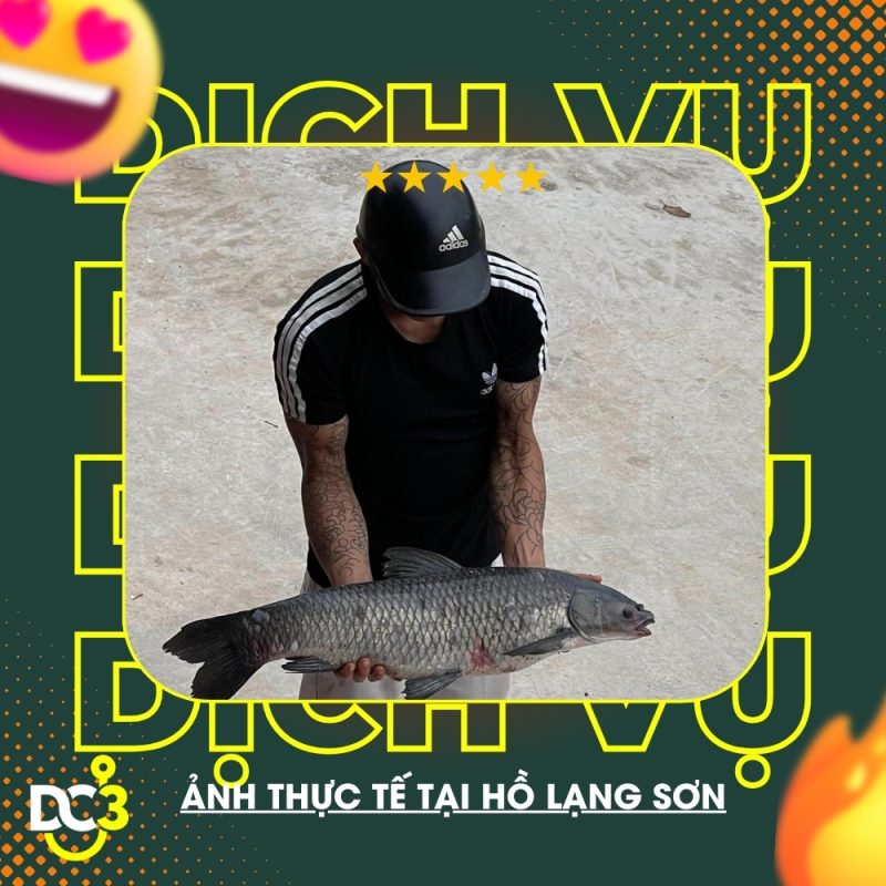 Dịch vụ tiện ích hồ câu Lạng Sơn