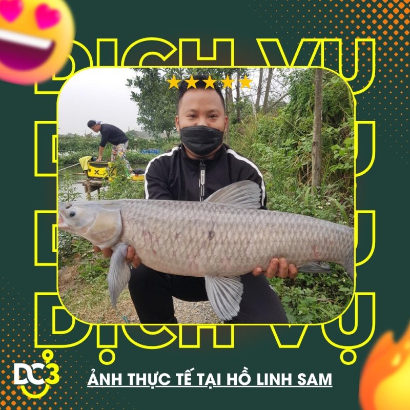 Dịch vụ tiênj ích hồ câu Linh Sam