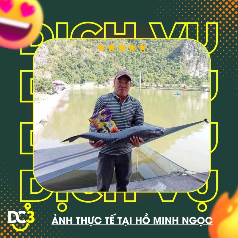 Dịch vụ tiện ích hồ câu Minh Ngọc