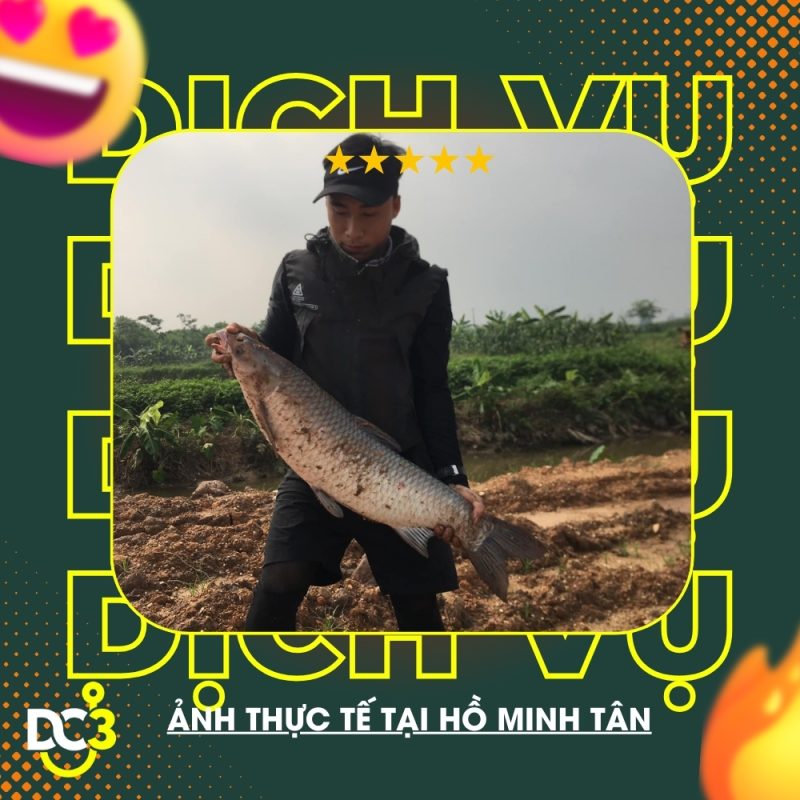 Dịch vụ tiện ích hồ câu Minh Tân