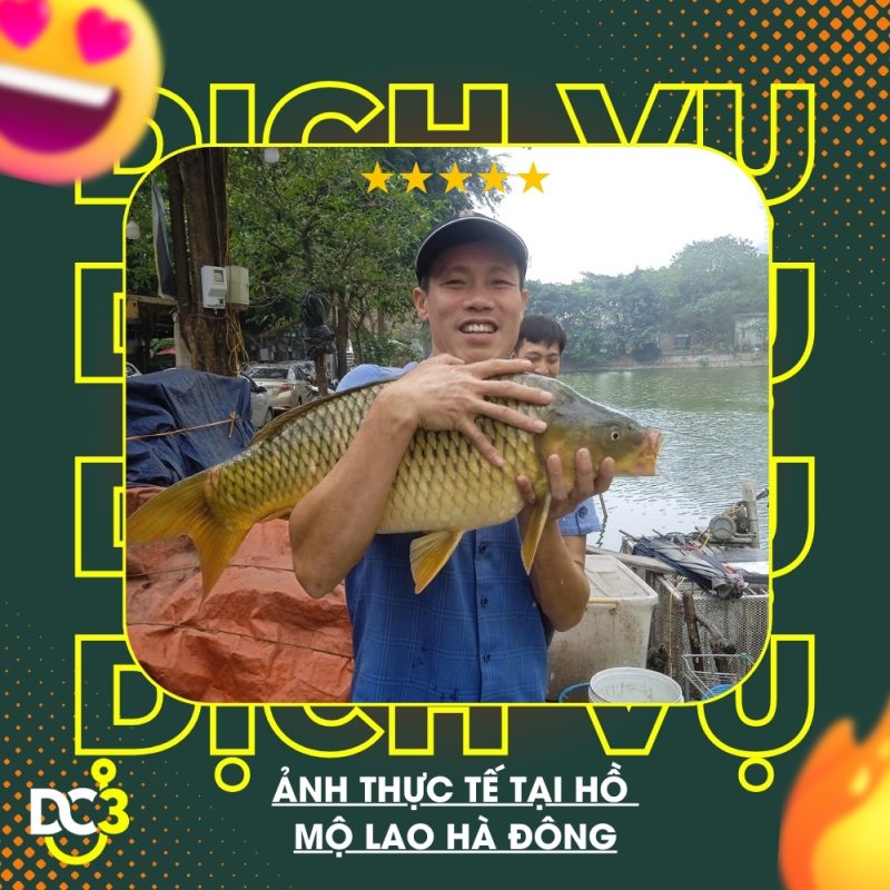 Dịch vụ tiện ích hồ câu Mộ Lao Hà Đông