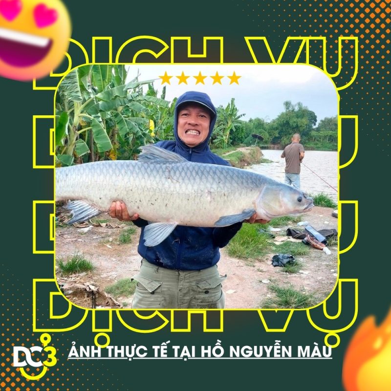Dịch vụ tiện ích hồ câu Nguyễn Màu