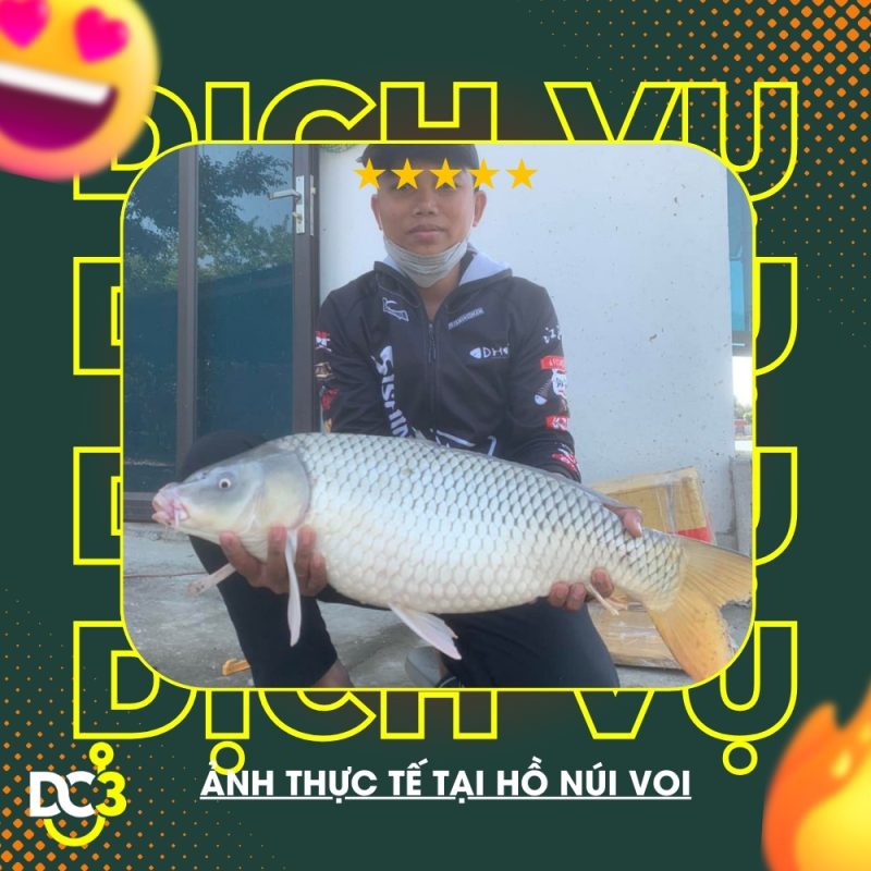 Dịch vụ tiện ích hồ câu Núi Voi