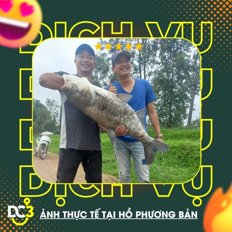 Dịch vụ tiện ích hồ câu Phương Bản