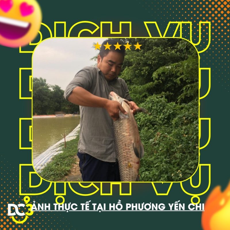 Dịch vụ tiện ích hồ câu Phương-Yến Chi