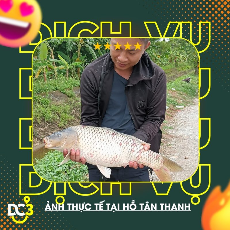 Dịch vụ tiện ích hồ câu Tân Thanh