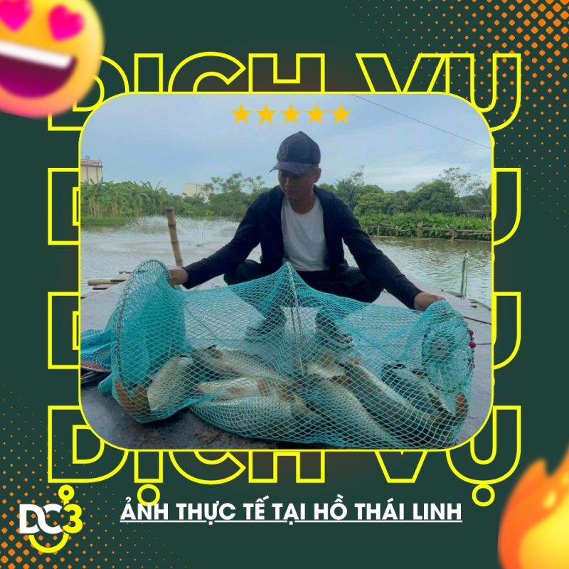 Dịch vụ tiện ích hồ câu Thái Linh