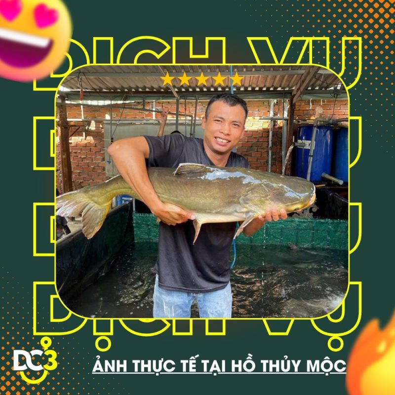 Dịch vụ tiện ích hồ câu Thủy Mộc