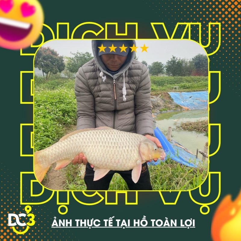 Dịch vụ tiện ích hồ câu Toàn Lợi
