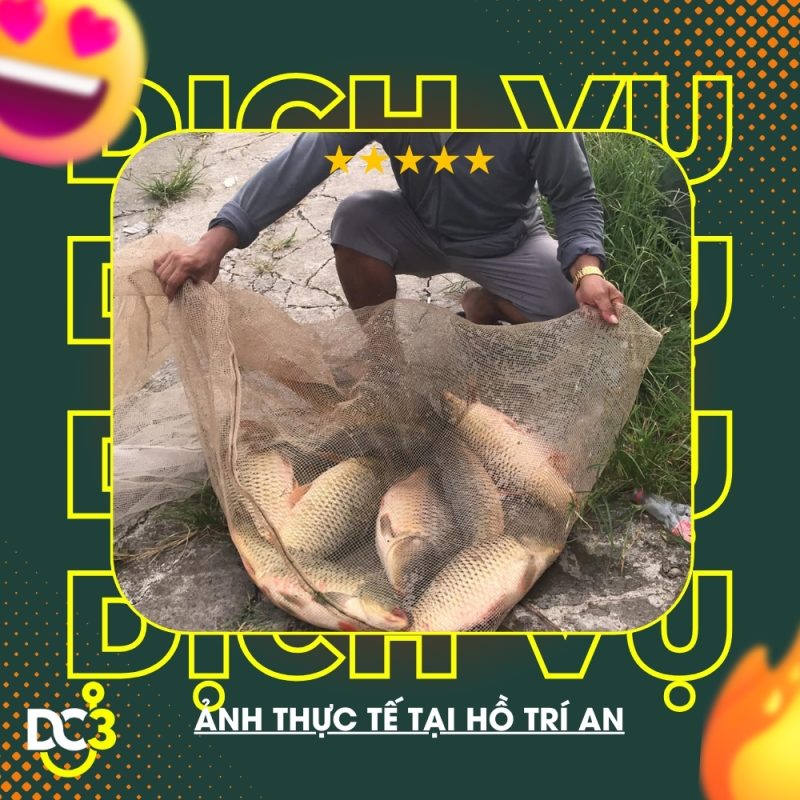 Dịch vụ tiện ích hồ câu Trí An