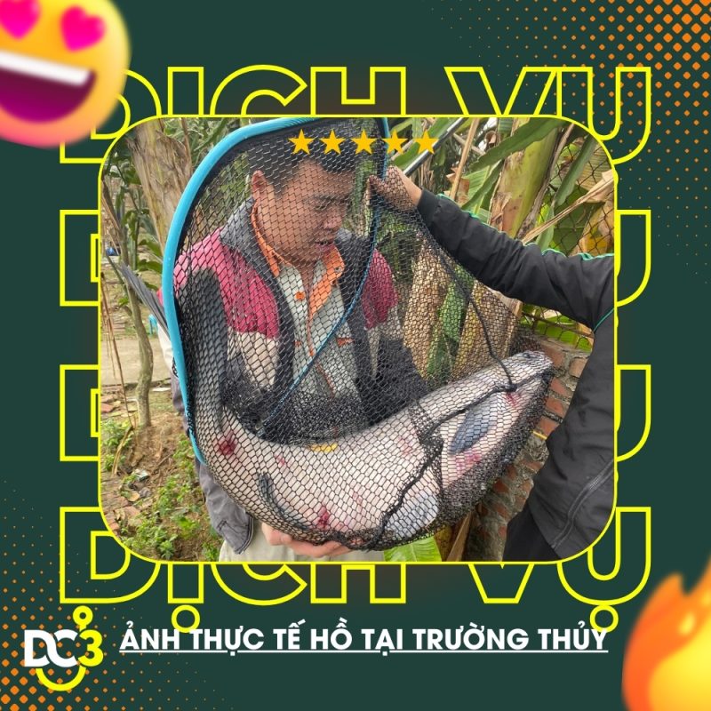 Dịch vụ tiện ích hồ câu Trường Thủy