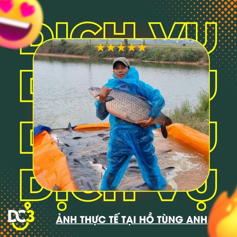 Dịch vụ tiện ích hồ câu Tùng Anh