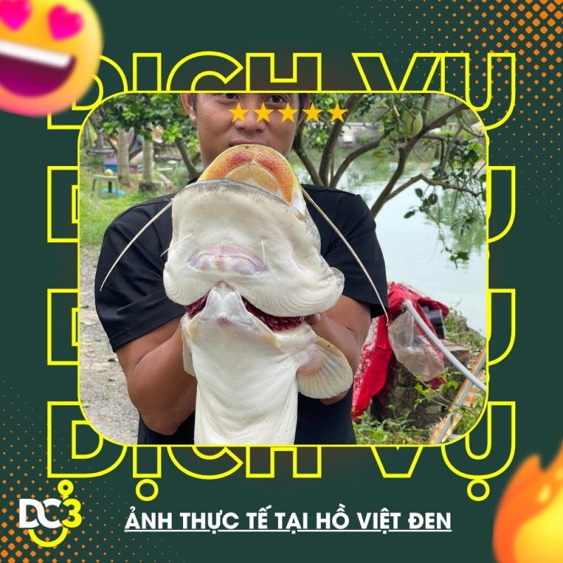 Dịch vụ tiện ích Hồ câu Việt Đen
