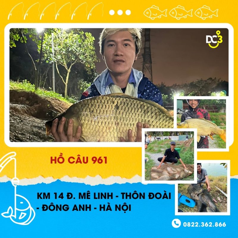 Giới thiệu hồ câu 961