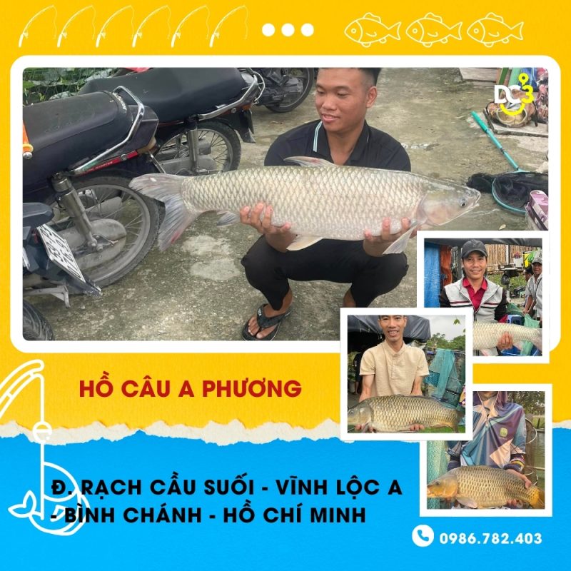 Giới thiệu hồ câu A Phương