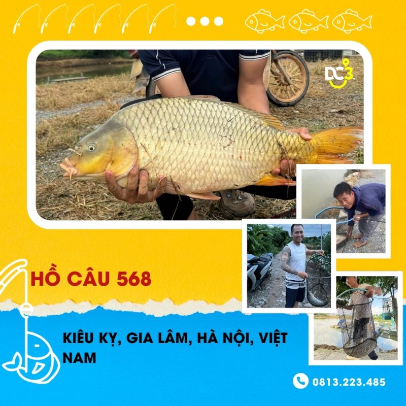 Giới thiệu hồ câu dịch vụ 568
