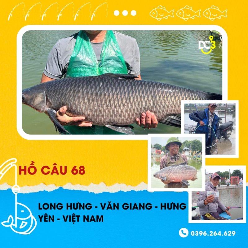 Giới thiệu hồ câu dịch vụ 68