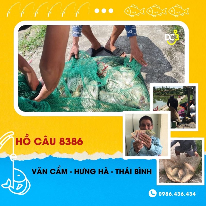 Giới thiệu hồ câu dịch vụ 8386