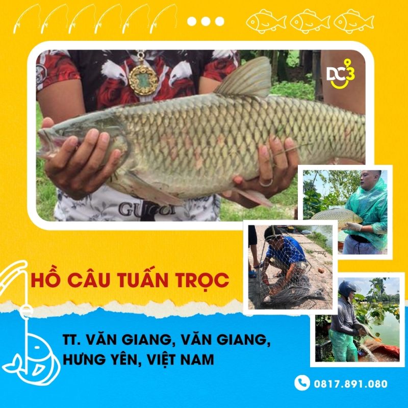 Giới thiệu hồ câu dịch vụ Tuấn Trọc