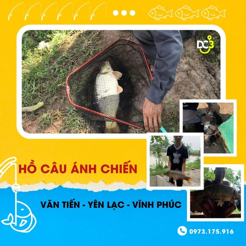 Giới thiệu hồ câu dịch vụ Ánh Chiến