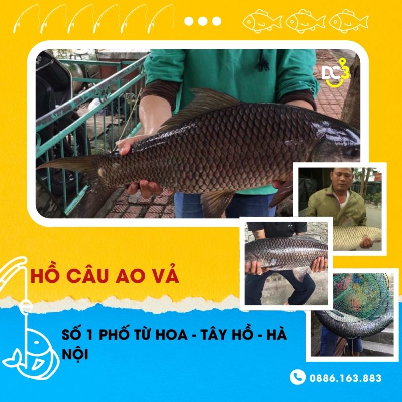 Giới thiệu hồ câu dịch vụ Ao Vả