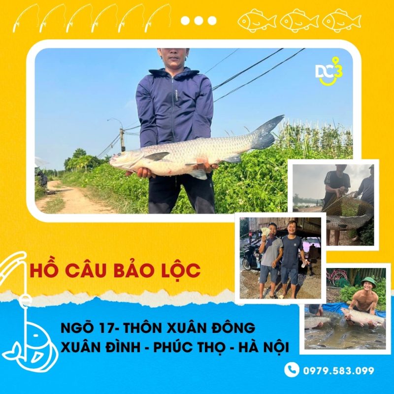 Giới thiệu hồ câu dịch vụ Bảo Lộc
