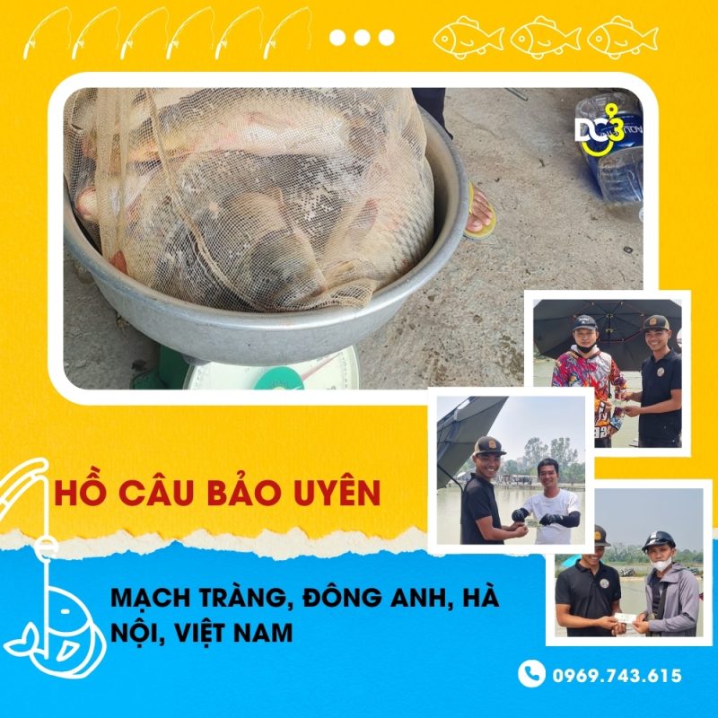 Giới thiệu hồ câu dịch vụ Bảo Uyên
