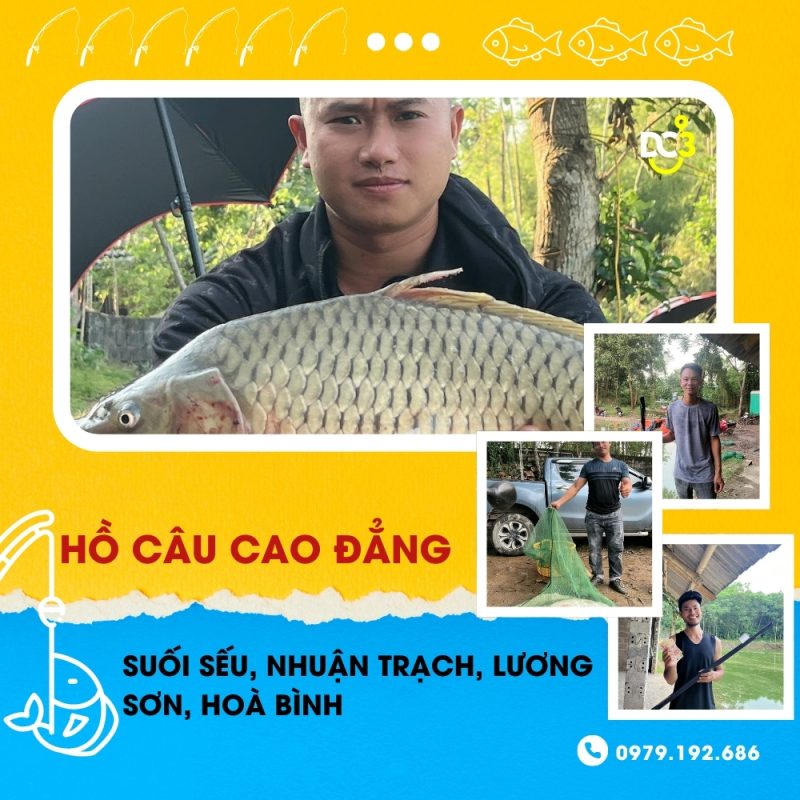 Giới thiệu hồ câu dịch vụ Cao Đẳng