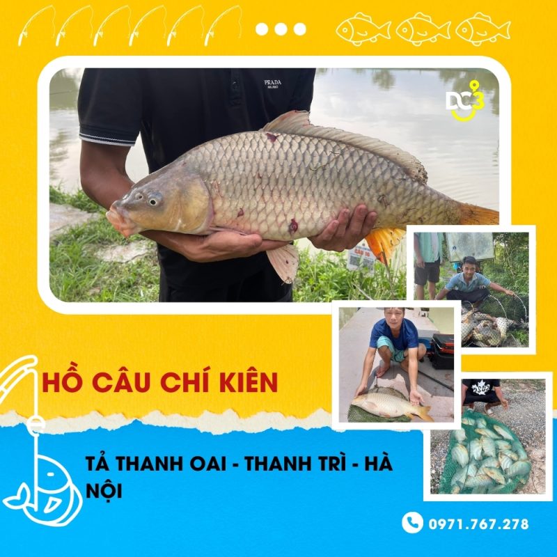 Giới thiệu hồ câu dịch vụ Chí Kiên