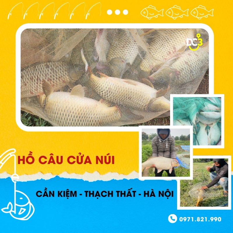 Giới thiệu hồ câu dịch vụ Cửa Núi