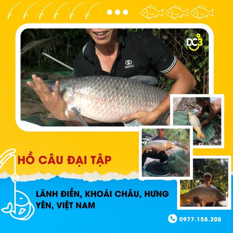 Giới thiệu hồ câu dịch vụ Đại Tập