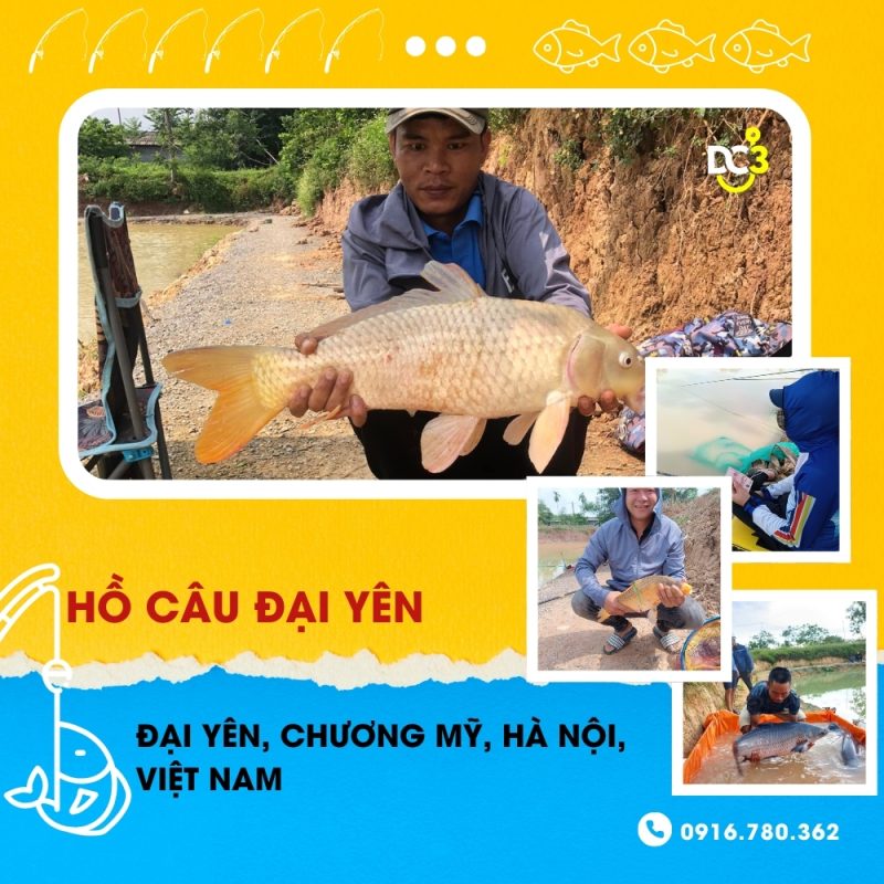 Giới thiệu hồ câu dịch vụ Đại Yên