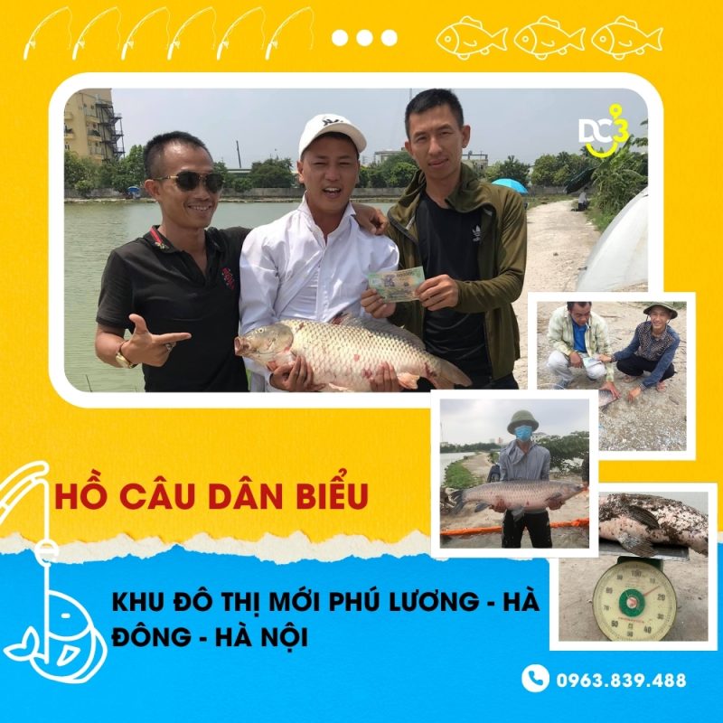 Giới thiệu hồ câu dịch vụ Dân Biểu