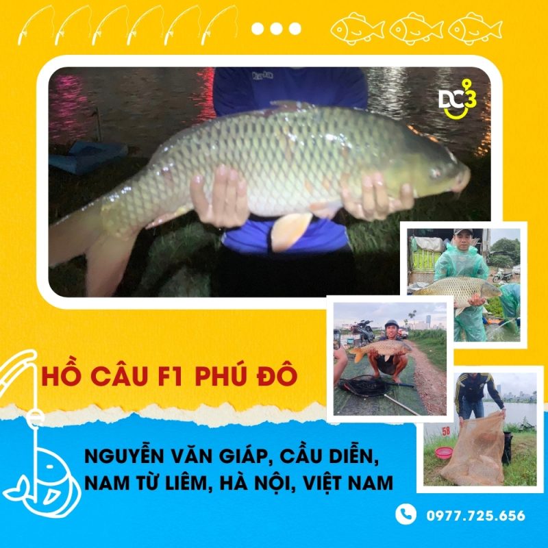 Giới thiệu hồ câu dịch vụ F1 Phú Đô