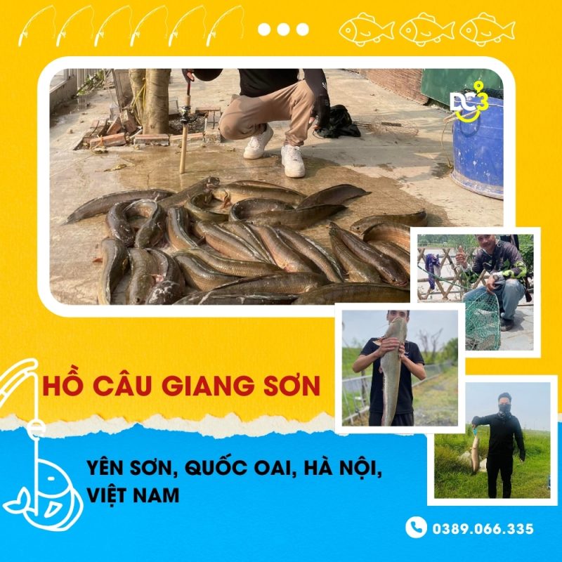 Giới thiệu hồ câu dịch vụ Giang Sơn