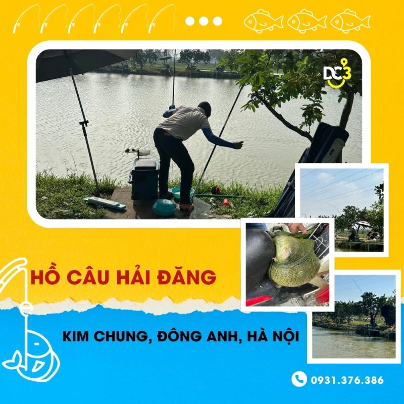 Giới thiệu hồ câu dịch vụ Hải Đăng