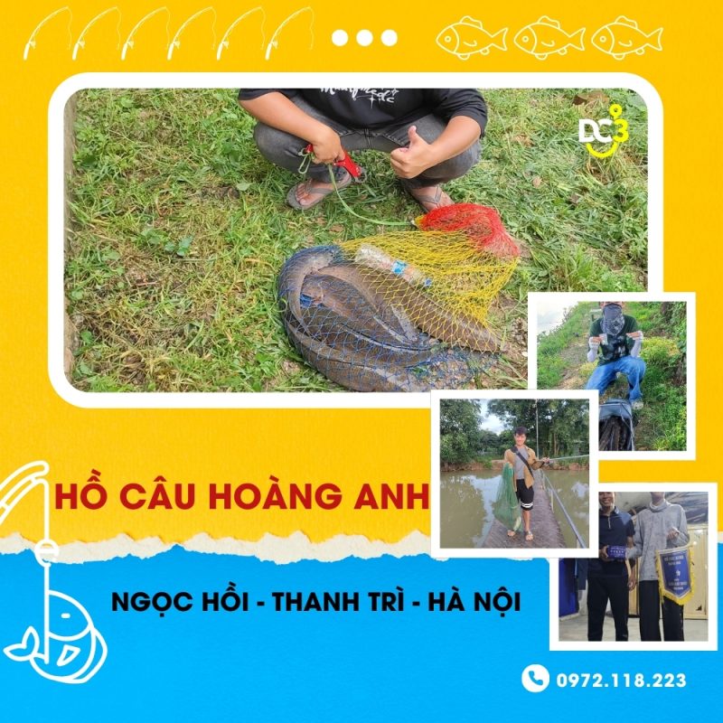 Giới thiệu hồ câu dịch vụ Hoàng Anh