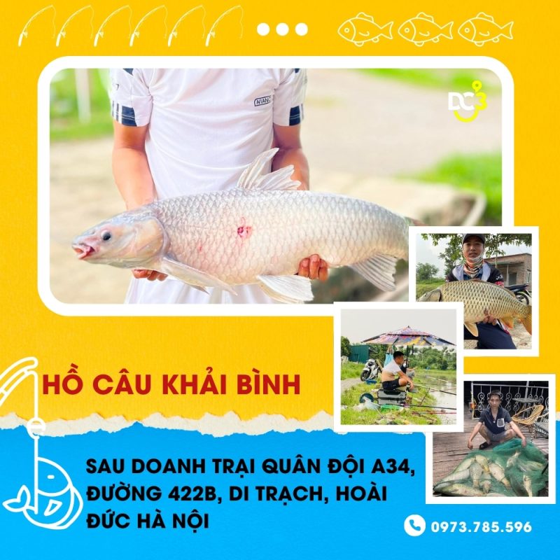 Giới thiệu hồ câu dịch vụ Khải Bình