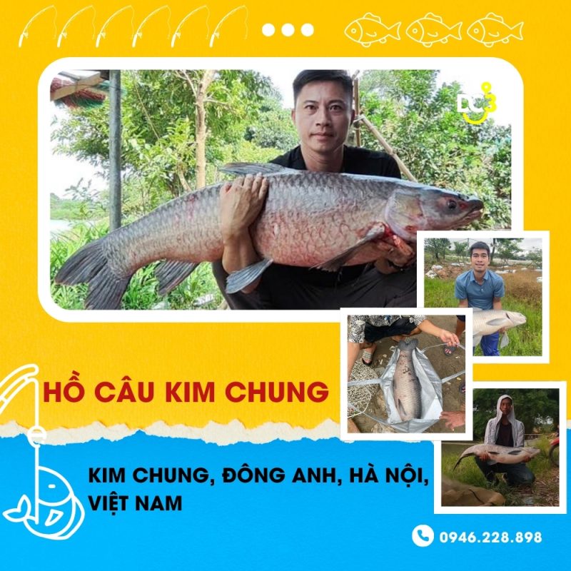 Giới thiệu hồ câu dịch vụ Kim Chung