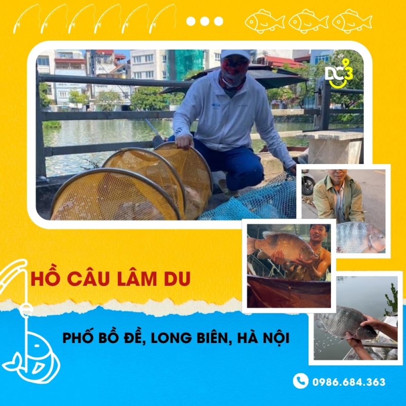Giới thiệu hồ câu dịch vụ Lâm Du