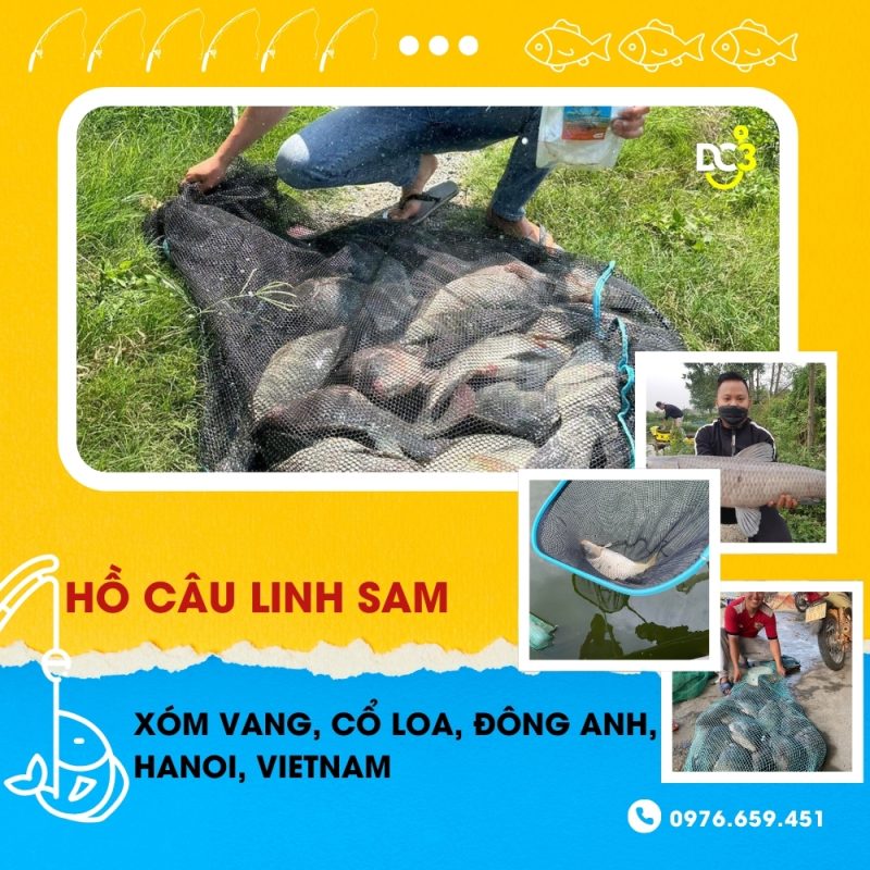 Giới thiệu hồ câu dịch vụ Linh Sam