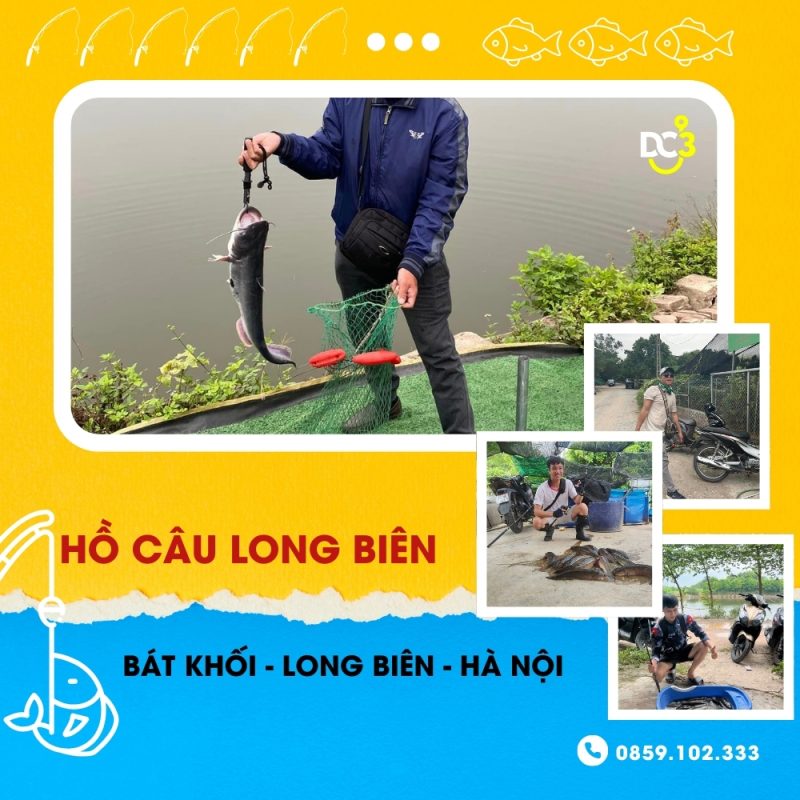 Giới thiệu hồ câu dịch vụ Long Biên