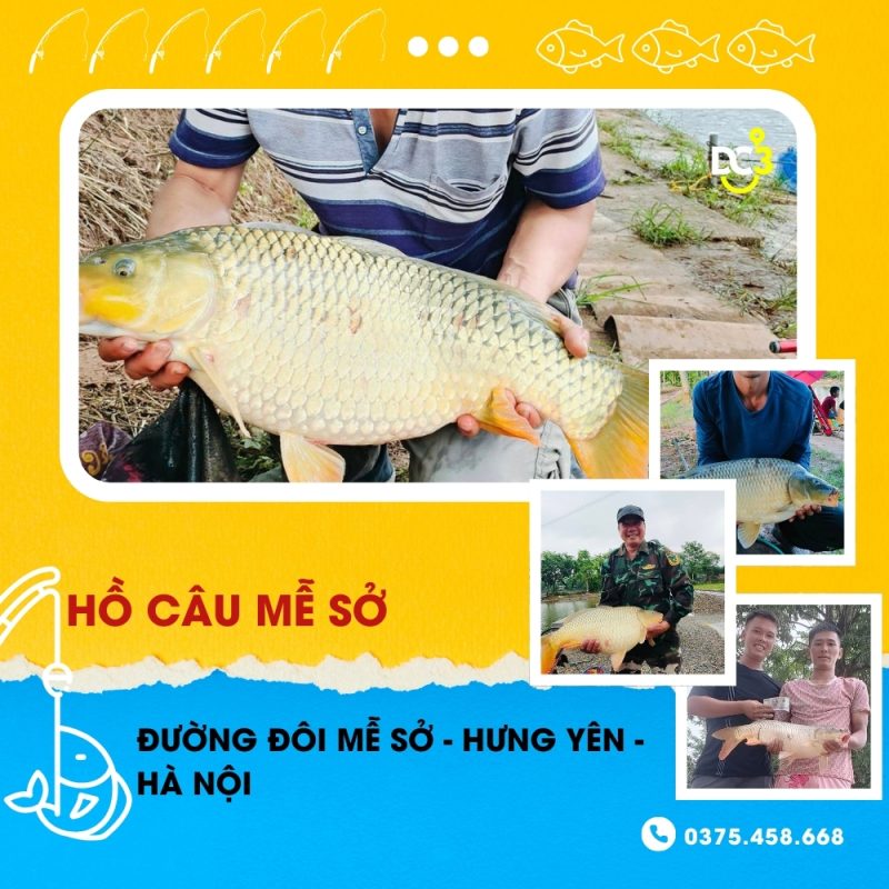 Giới thiệu hồ câu dịch vụ Mễ Sở