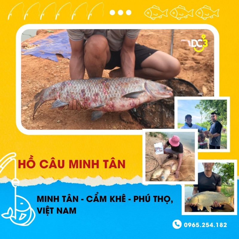 Giới thiệu hồ câu dịch vụ Minh Tân